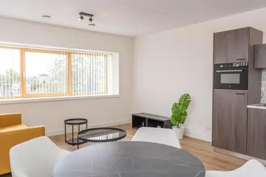 31m2 apartment to rent for 1100€/month in Rosmolenplein, Tilburg