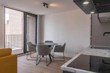 28m2 studio te huur voor 1050€/maand in Rosmolenplein, Tilburg