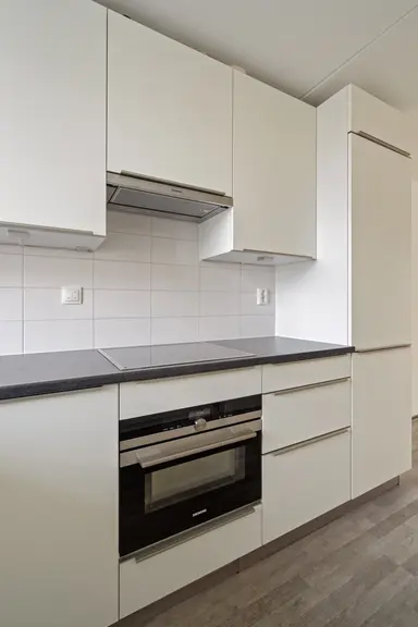apartment de 75m2 à louer pour 1600€/mois à Bakhuizen van den Brinkstraat 49, Haarlem