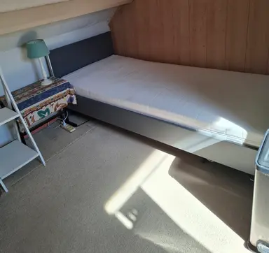 room di 16m2 in affitto a 400€/mese a Berckheydestraat, Ede