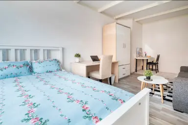 22m2 room zu vermieten für 850€/Monat in Isingstraat, The Hague
