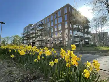 apartment di 75m2 in affitto a 1434.81€/mese a Winklerlaan, Utrecht