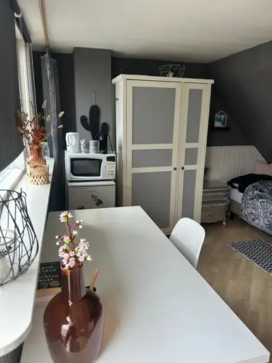 16m2 room to rent for 525€/month in Voorzorgstraat, Haarlem