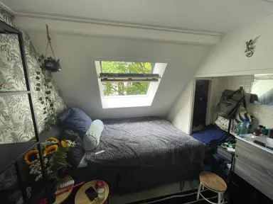room 10τ.μ. προς ενοικίαση για 528€/μήνα στην περιοχή Zuiderpark, Groningen