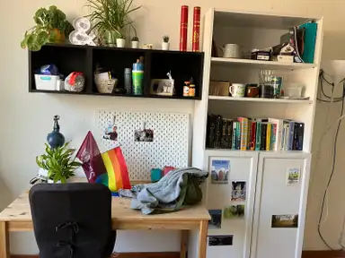 14m2 room te huur voor 410€/maand in Spicastraat, Groningen