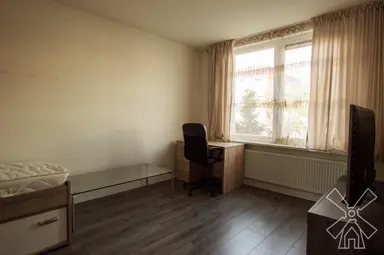 room di 16m2 in affitto a 900€/mese a Schalk Burgerstraat, The Hague