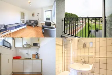 36m2 studio te huur voor 989€/maand in Suze Groeneweglaan, Rotterdam