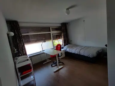 room 12τ.μ. προς ενοικίαση για 500€/μήνα στην περιοχή Daumierstraat, Eindhoven