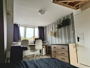 room 14τ.μ. προς ενοικίαση για 425€/μήνα στην περιοχή Dasstraat, Eindhoven
