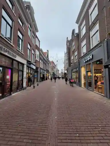 82m2 apartment te huur voor 1850€/maand in Brinkmannpassage 121, Haarlem