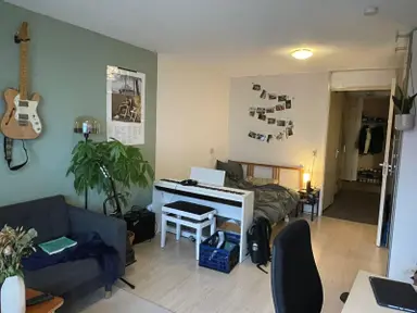 20m2 room te huur voor 399€/maand in Balthasar van der Polweg, Delft