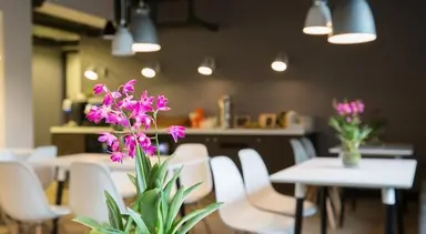 40m2 apartment te huur voor 2695€/maand in Stadhoudersplantsoen, The Hague