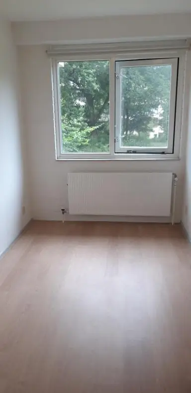 room de 10m2 à louer pour 575€/mois à Burgemeester Patijnlaan, The Hague