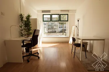 room de 16m2 à louer pour 900€/mois à Rijswijkseweg, The Hague