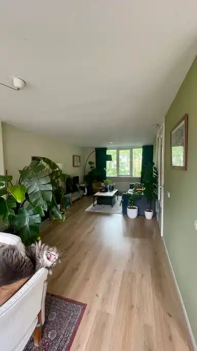 10m2 room te huur voor 977€/maand in Spaarndammerdijk, Amsterdam