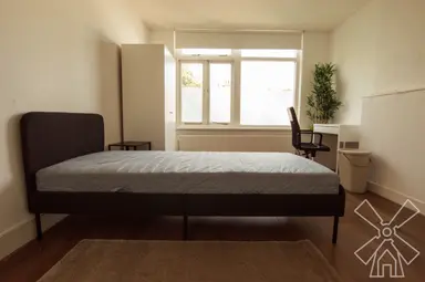 room di 17m2 in affitto a 900€/mese a Rijswijkseweg, The Hague