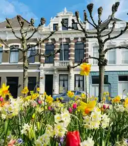 33m2 room to rent for 630€/month in Mauritsstraat, Breda