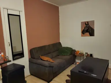 21m2 room te huur voor 485€/maand in Zomerdijk 7942, Meppel