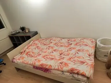 15m2 room to rent for 1100€/month in Pannerdenstraat, Amsterdam