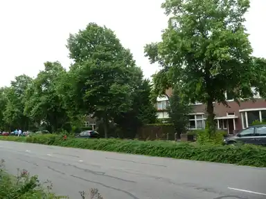 22m2 room to rent for 453€/month in Verlengde Schrans, Leeuwarden
