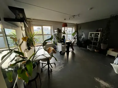 room de 30m2 à louer pour 365€/mois à Korvezeestraat, Delft