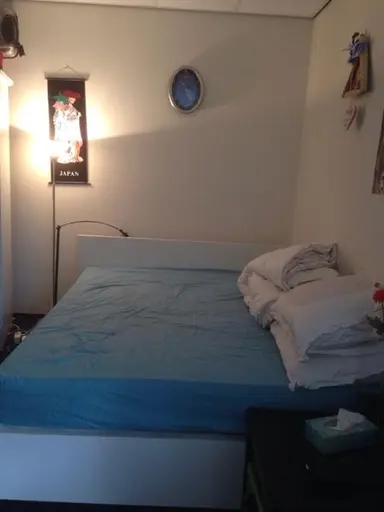 25m2 studio te huur voor 501€/maand in Schaepmanstraat, Tilburg