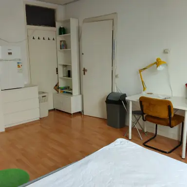 room di 17m2 in affitto a 680€/mese a Willem Buytewechstraat, Rotterdam