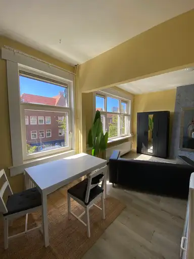 room de 24m2 à louer pour 1250€/mois à Van Zeggelenlaan, The Hague