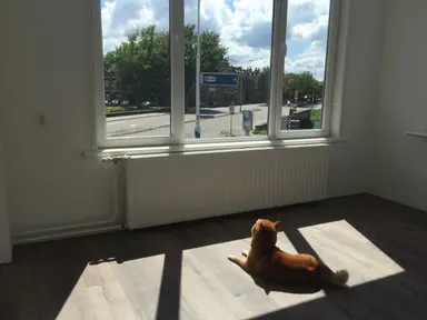 25m2 room to rent for 580€/month in Oranjesingel, Breda