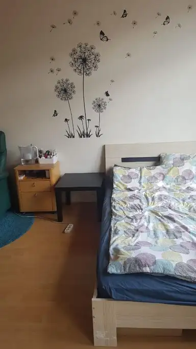 25m2 room te huur voor 805€/maand in Spaarnestraat, The Hague
