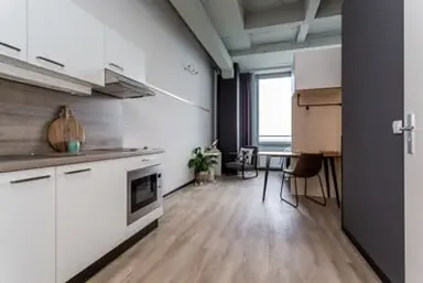 studio de 20m2 à louer pour 981.25€/mois à De Lampendriessen 31-837, Eindhoven