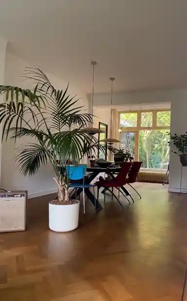 21m2 room te huur voor 1050€/maand in Groenestraat, Nijmegen