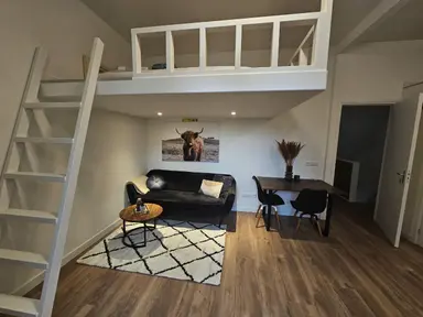 23m2 studio to rent for 1550€/month in Kanaalstraat, Utrecht
