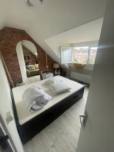 room de 15m2 à louer pour 700€/mois à Hertogsingel, Maastricht