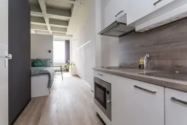 29m2 studio zur Miete für 780€/Monat in De Lampendriessen 31-1311, Eindhoven