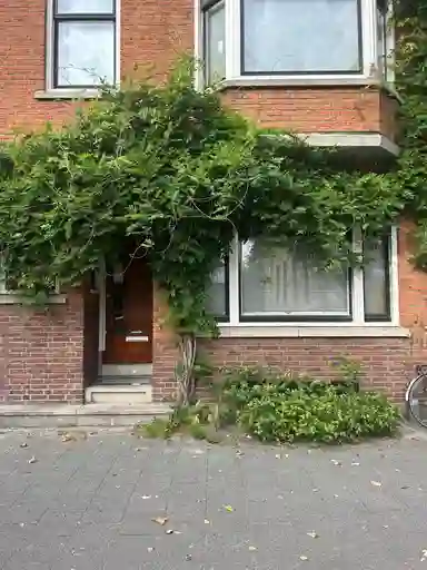 135m2 house à louer pour 2850€/mois à Breitnerstraat 107A, Rotterdam