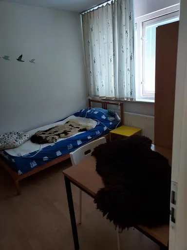 8μ² room προς ενοικίαση για 500€/μήνα σε Apeldoorn