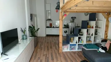 28m2 room te huur voor 825€/maand in Ingenieur Driessenstraat, Leiden