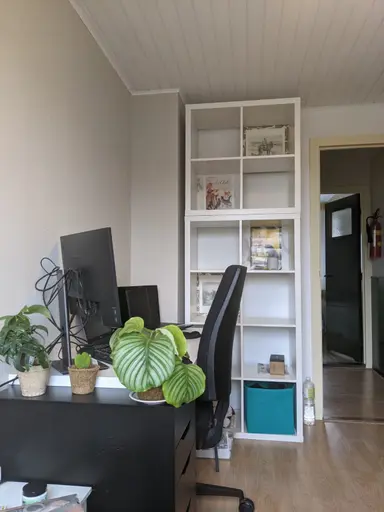 8μ² room προς ενοικίαση για 350€/μήνα σε Gerard Doustraat, Venlo