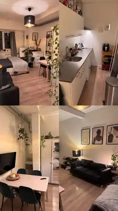 24m2 room to rent for 755€/month in Eerste Oude Heselaan, Nijmegen