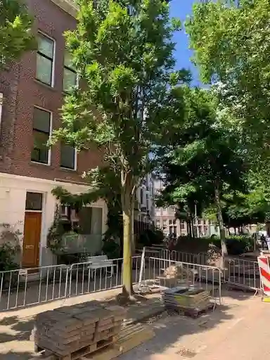 75μ² apartment προς ενοικίαση για 1895€/μήνα σε Adrien Mildersstraat, Rotterdam