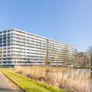 55m2 room à louer pour 700€/mois à Geldershoofd, Amsterdam