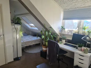 18m2 room to rent for 330€/month in Volksparksingel, Enschede