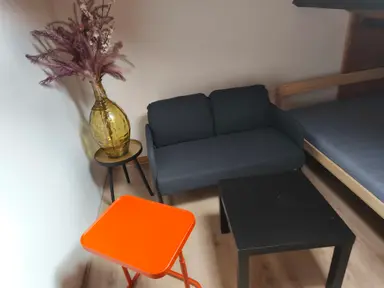 100m2 room to rent for 1000€/month in Van Ruysbroekstraat, The Hague