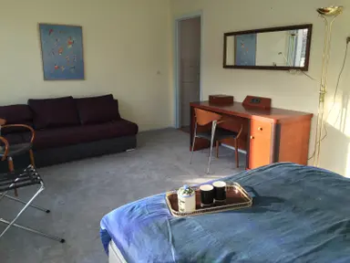 32m2 studio te huur voor 990€/maand in Ivoorhorst 155, The Hague