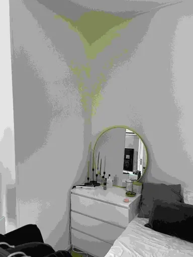 24m2 room to rent for 800€/month in Eerste Oude Heselaan, Nijmegen