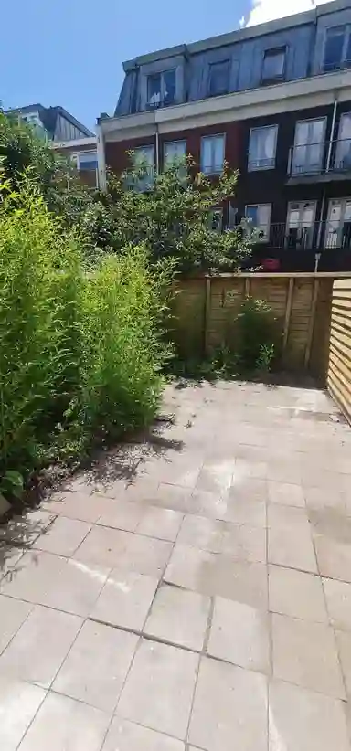 30m2 studio zur Miete für 1955€/Monat in Tolsteegsingel, Utrecht