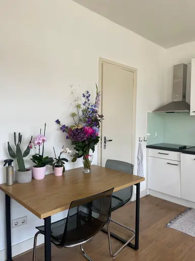26m2 studio te huur voor 1300€/maand in Balijelaan, Utrecht