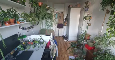 12m2 room à louer pour 301€/mois à Zweringweg 258, Enschede