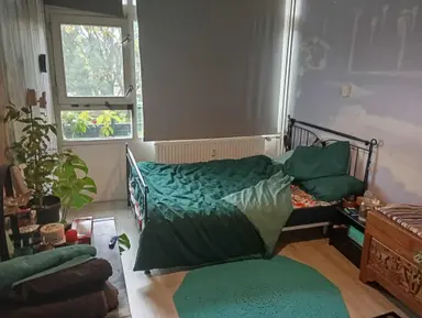 12m2 room to rent for 800€/month in Vijfheerenlanden, Vianen